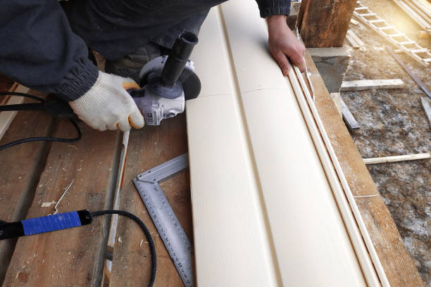 Best Aluminum Siding Installation  in Rio, WI